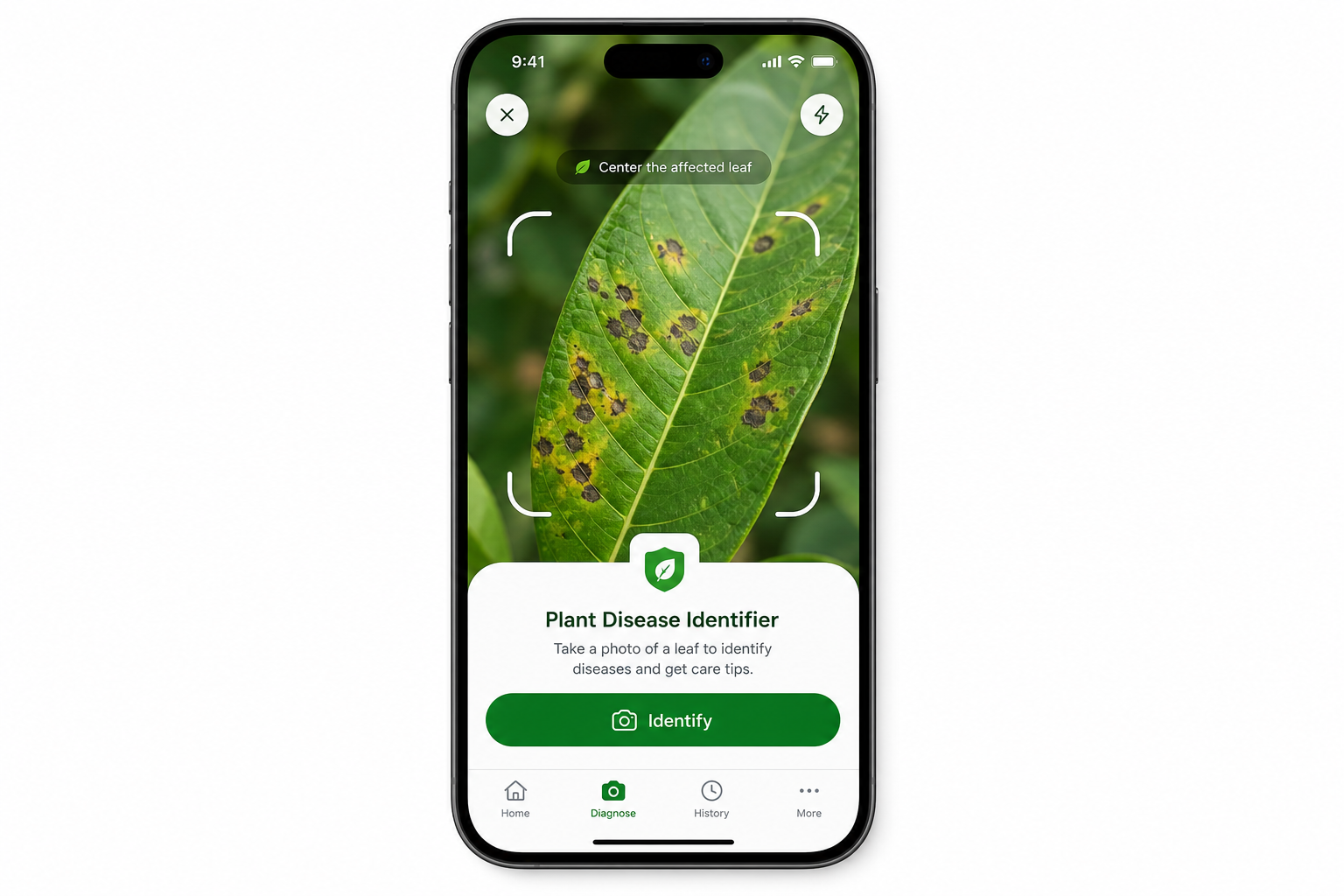 Plant Disease Identifier — photograph a leaf to scan for disease